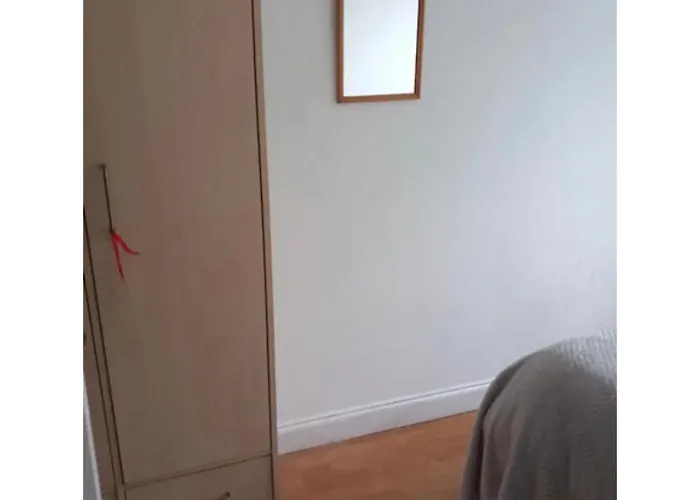 Room In Friendly Apartment Central London